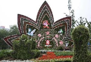 ǻŽӭ
