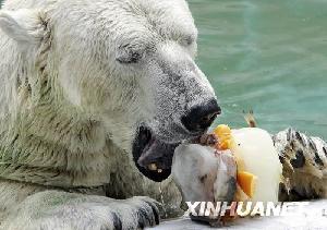 �����ܳԱ�����